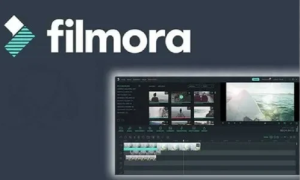 Wondershare Filmora 12.5.7