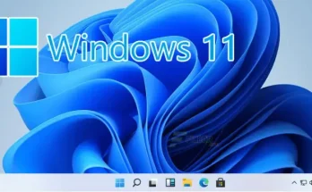 Windows 11