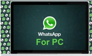WhatsApp for Windows Download (Latest 2025)