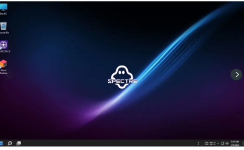 Windows 11 Professional Lite Download