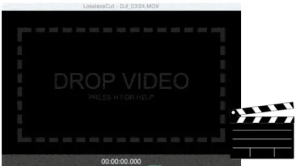 LosslessCut 3.66.1 LosslessCut 3.66.1