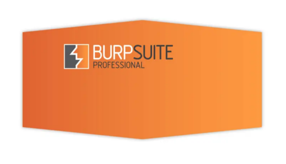 Burp Suite Professional 2025.8.8