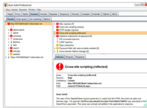 Burp Suite Professional 2025.8.8 Burp Suite Professional 2025.8.8